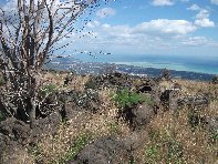 iara Scorciavacca-20110306 014